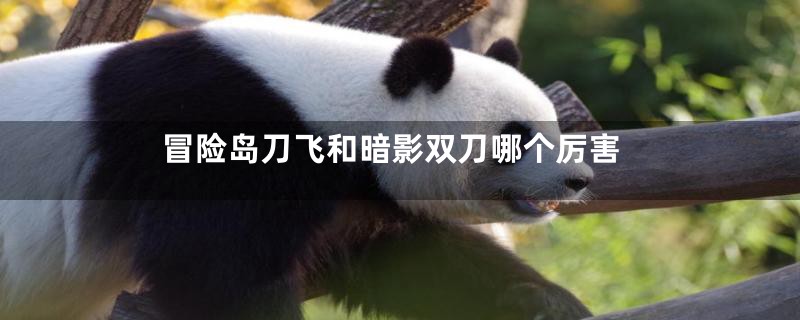 冒险岛刀飞和暗影双刀哪个厉害