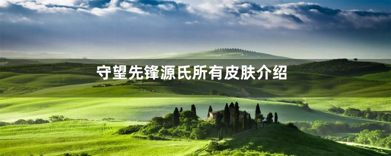 守望先锋源氏所有皮肤介绍
