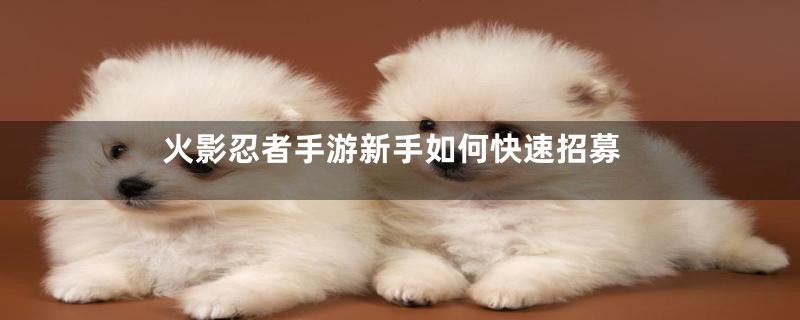 火影忍者手游新手如何快速招募