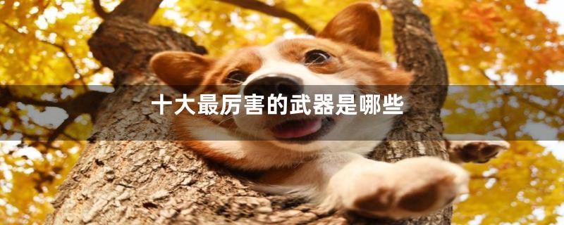 十大最厉害的武器是哪些