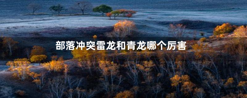 部落冲突雷龙和青龙哪个厉害