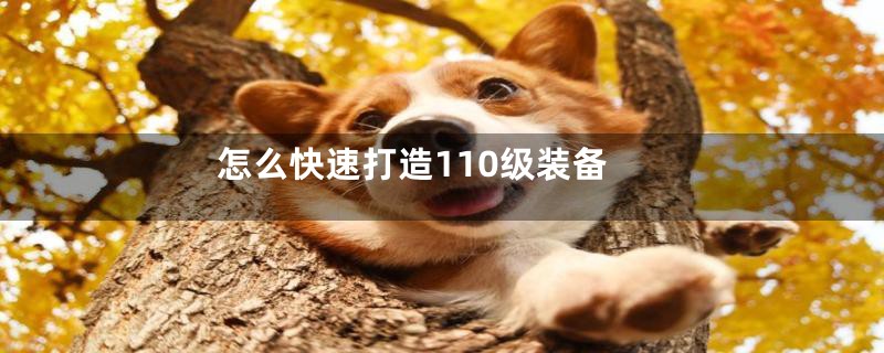 怎么快速打造110级装备