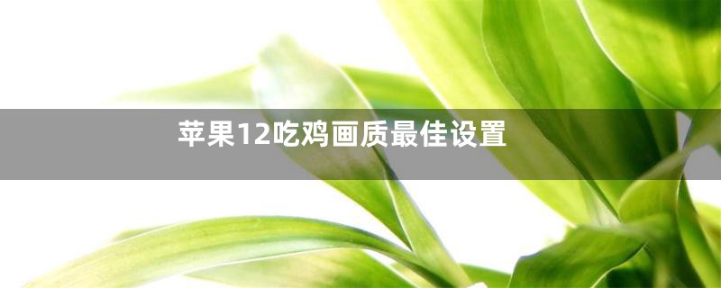 苹果12吃鸡画质最佳设置