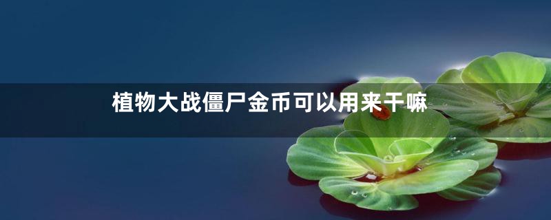 植物大战僵尸金币可以用来干嘛