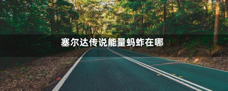 塞尔达传说能量蚂蚱在哪