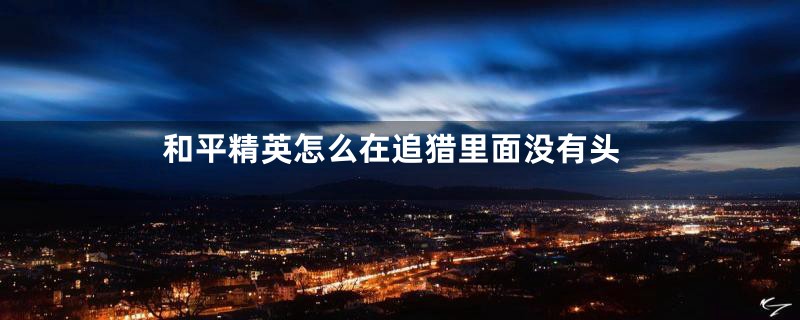 和平精英怎么在追猎里面没有头