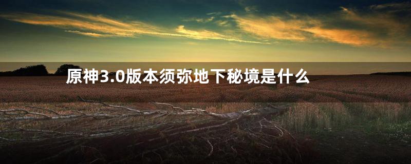 原神3.0版本须弥地下秘境是什么