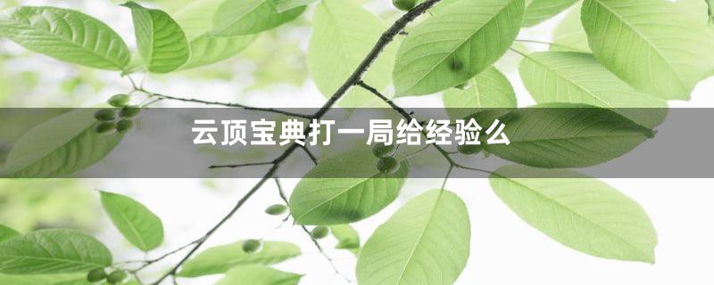 云顶宝典打一局给经验么