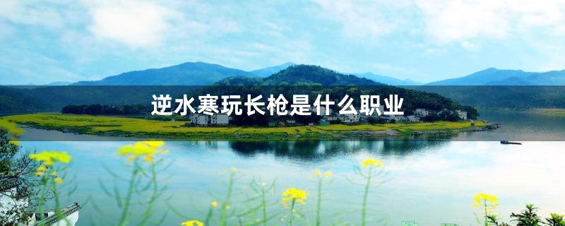 逆水寒玩长枪是什么职业