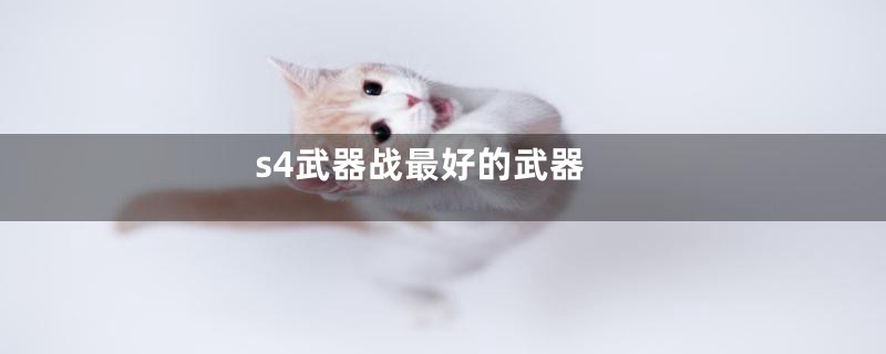 s4武器战最好的武器