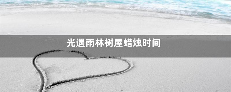 光遇雨林树屋蜡烛时间