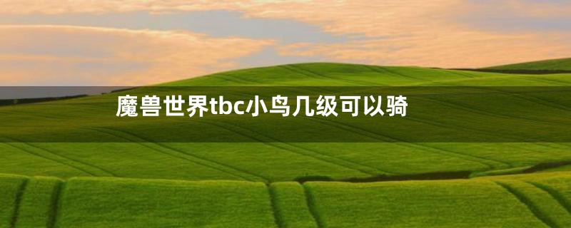 魔兽世界tbc小鸟几级可以骑