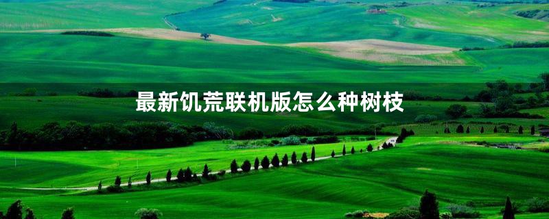 最新饥荒联机版怎么种树枝