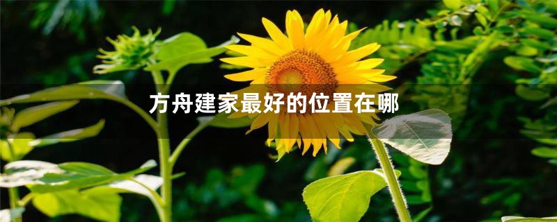 方舟建家最好的位置在哪