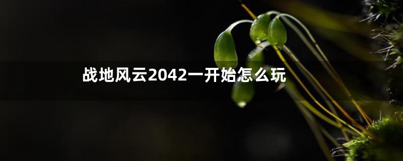战地风云2042一开始怎么玩