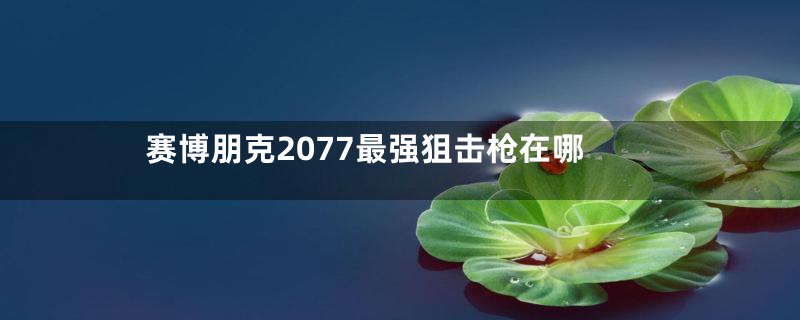 赛博朋克2077最强狙击枪在哪