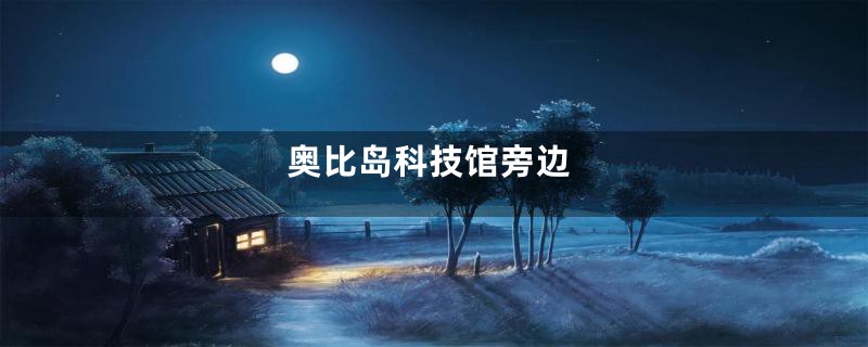 奥比岛科技馆旁边