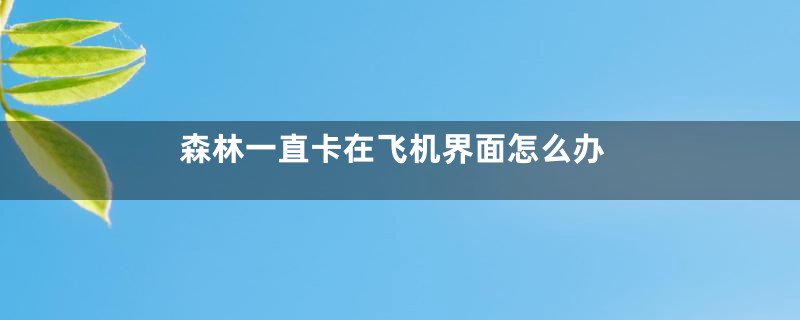 森林一直卡在飞机界面怎么办