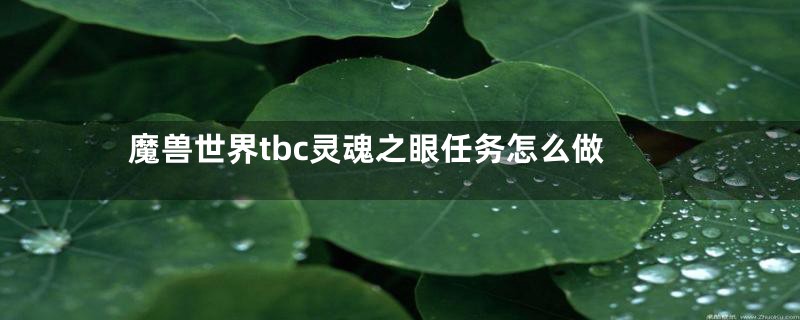 魔兽世界tbc灵魂之眼任务怎么做