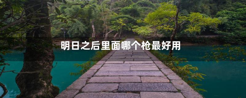 明日之后里面哪个枪最好用