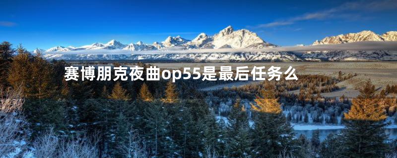 赛博朋克夜曲op55是最后任务么