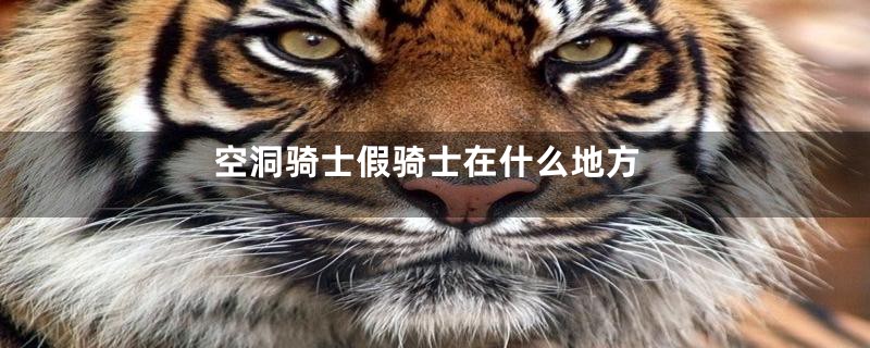 空洞骑士假骑士在什么地方