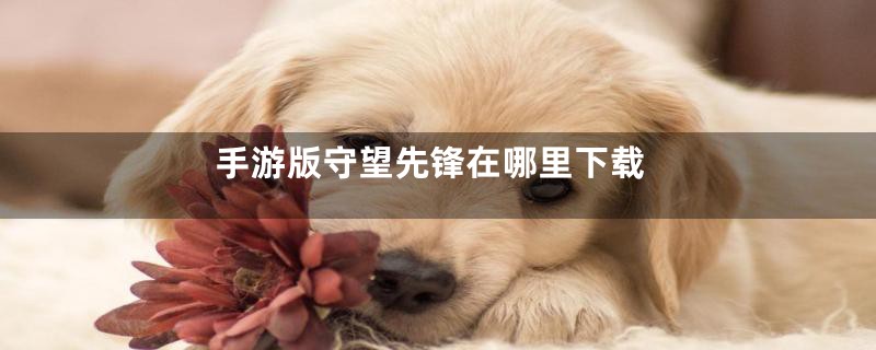 手游版守望先锋在哪里下载