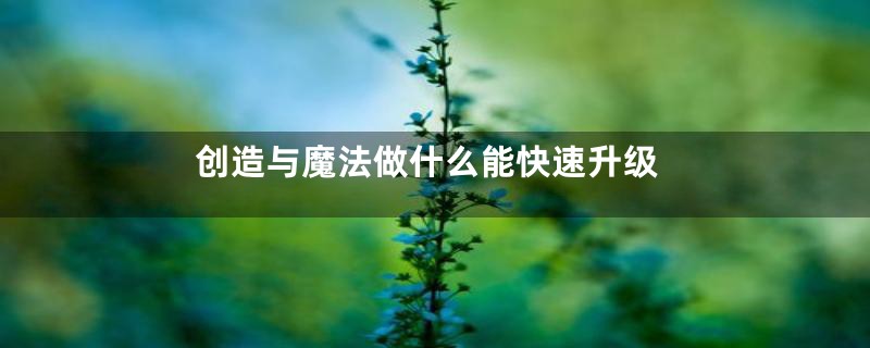 创造与魔法做什么能快速升级