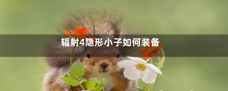 辐射4隐形小子如何装备
