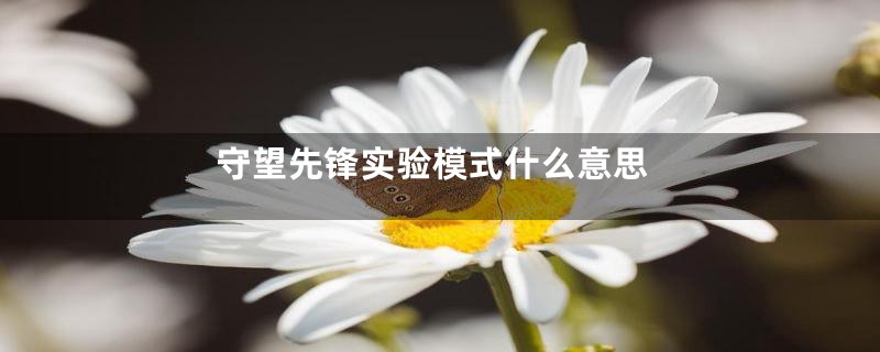 守望先锋实验模式什么意思