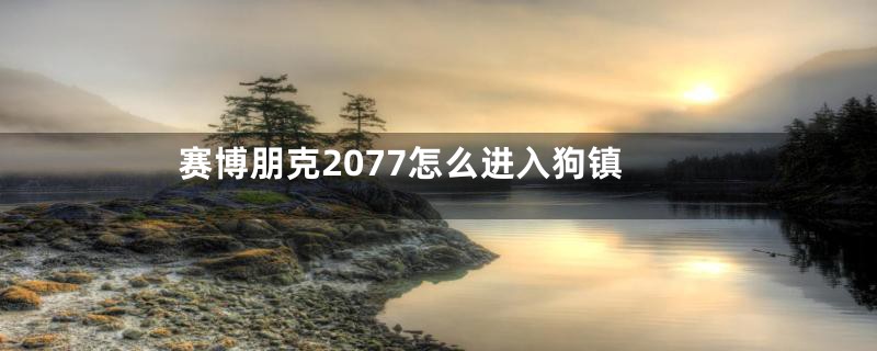 赛博朋克2077怎么进入狗镇
