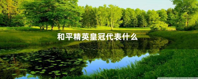 和平精英皇冠代表什么