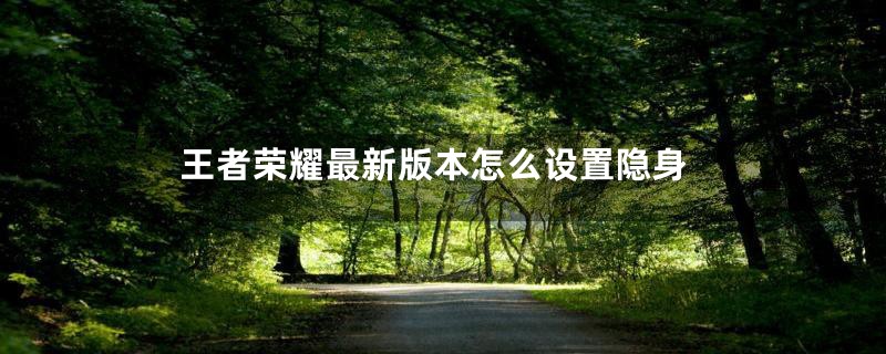 王者荣耀最新版本怎么设置隐身