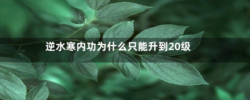 逆水寒内功为什么只能升到20级