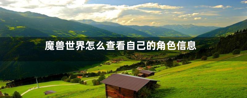 魔兽世界怎么查看自己的角色信息