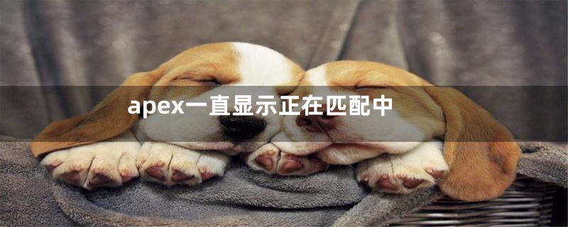 apex一直显示正在匹配中