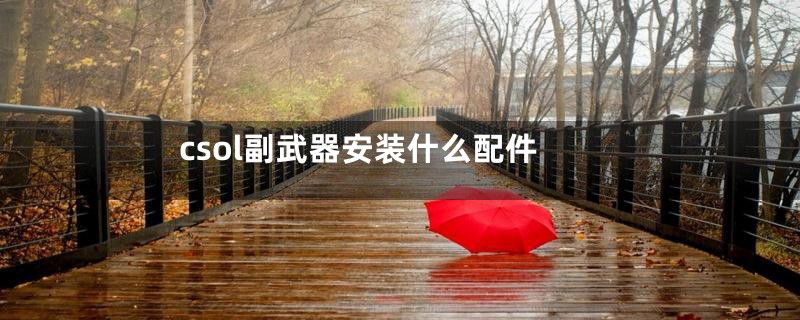 csol副武器安装什么配件
