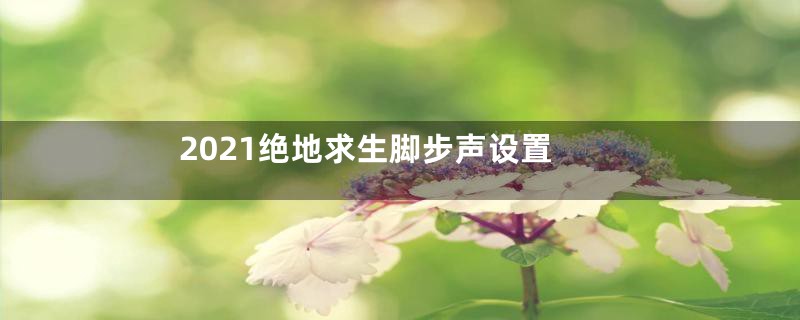 2021绝地求生脚步声设置