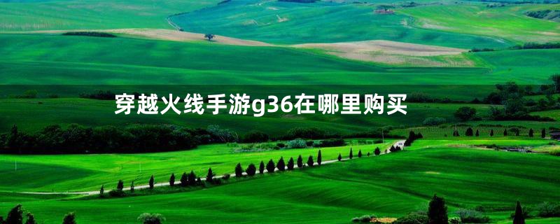 穿越火线手游g36在哪里购买