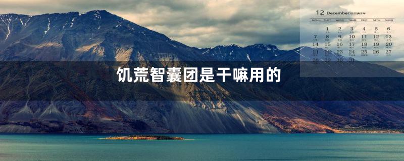饥荒智囊团是干嘛用的