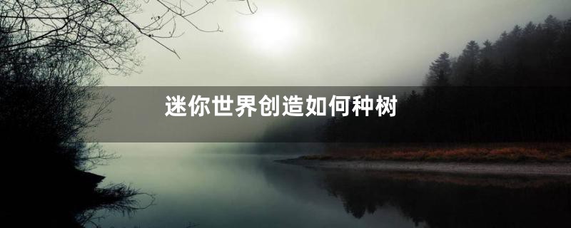 迷你世界创造如何种树