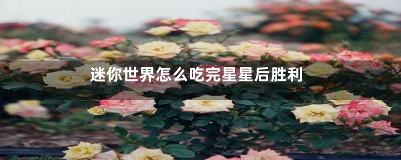 迷你世界怎么吃完星星后胜利
