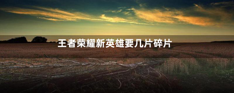 王者荣耀新英雄要几片碎片