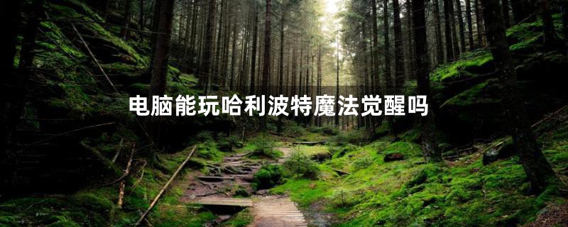 电脑能玩哈利波特魔法觉醒吗
