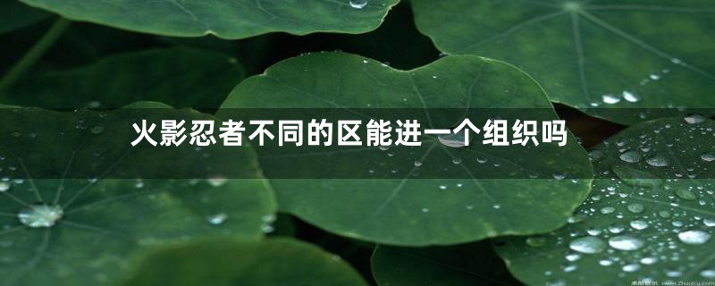 火影忍者不同的区能进一个组织吗