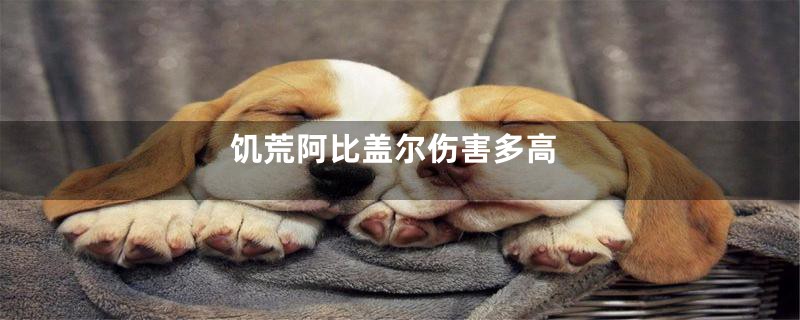 饥荒阿比盖尔伤害多高