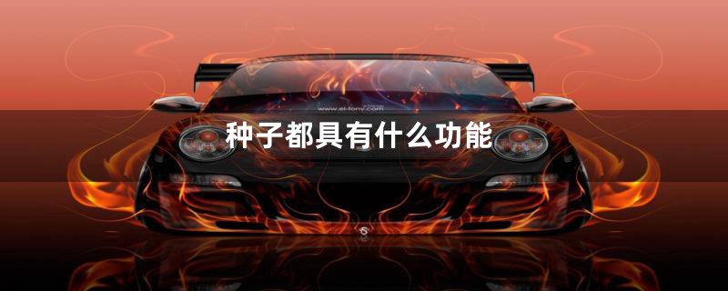 种子都具有什么功能
