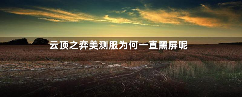 云顶之弈美测服为何一直黑屏呢