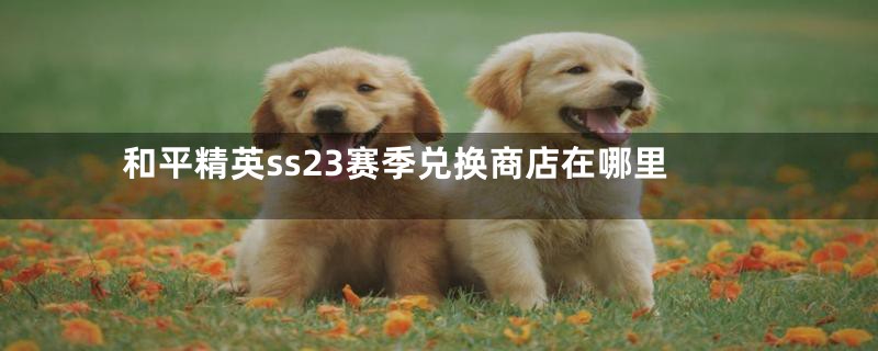 和平精英ss23赛季兑换商店在哪里