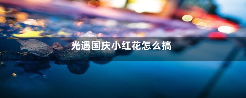 光遇国庆小红花怎么搞